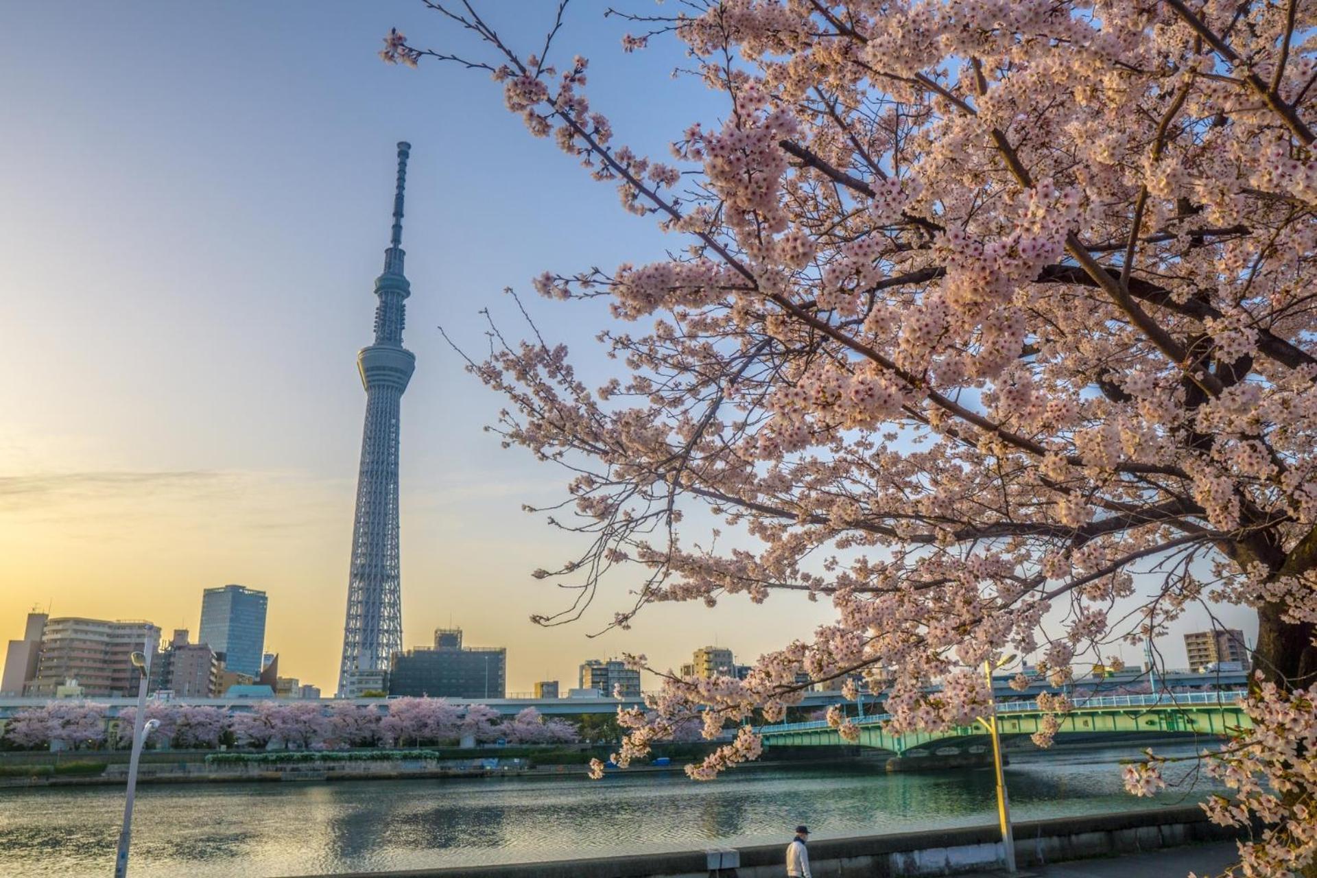 Stayme The Hotel Asakusa Riverside 도쿄 외부 사진
