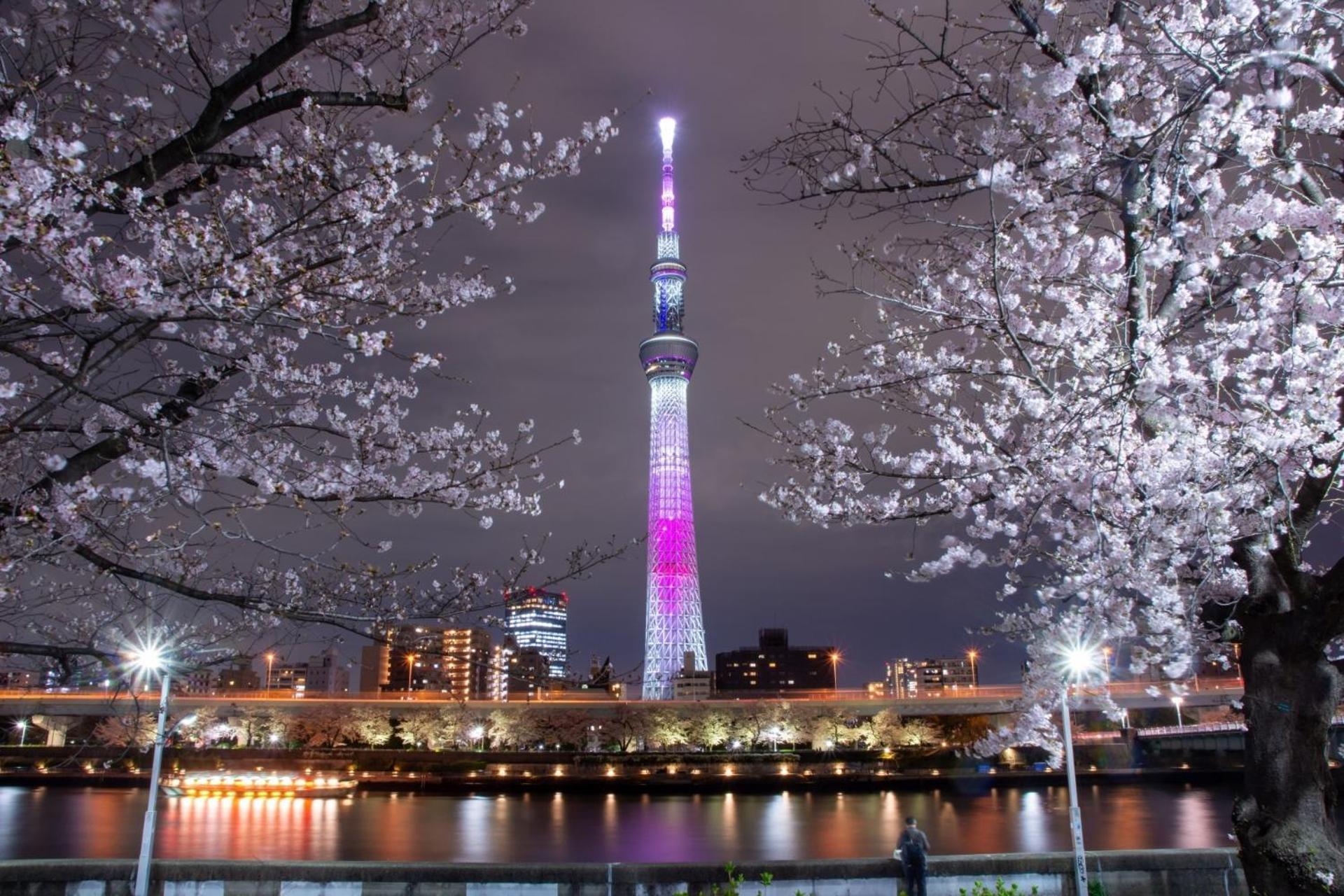 Stayme The Hotel Asakusa Riverside 도쿄 외부 사진